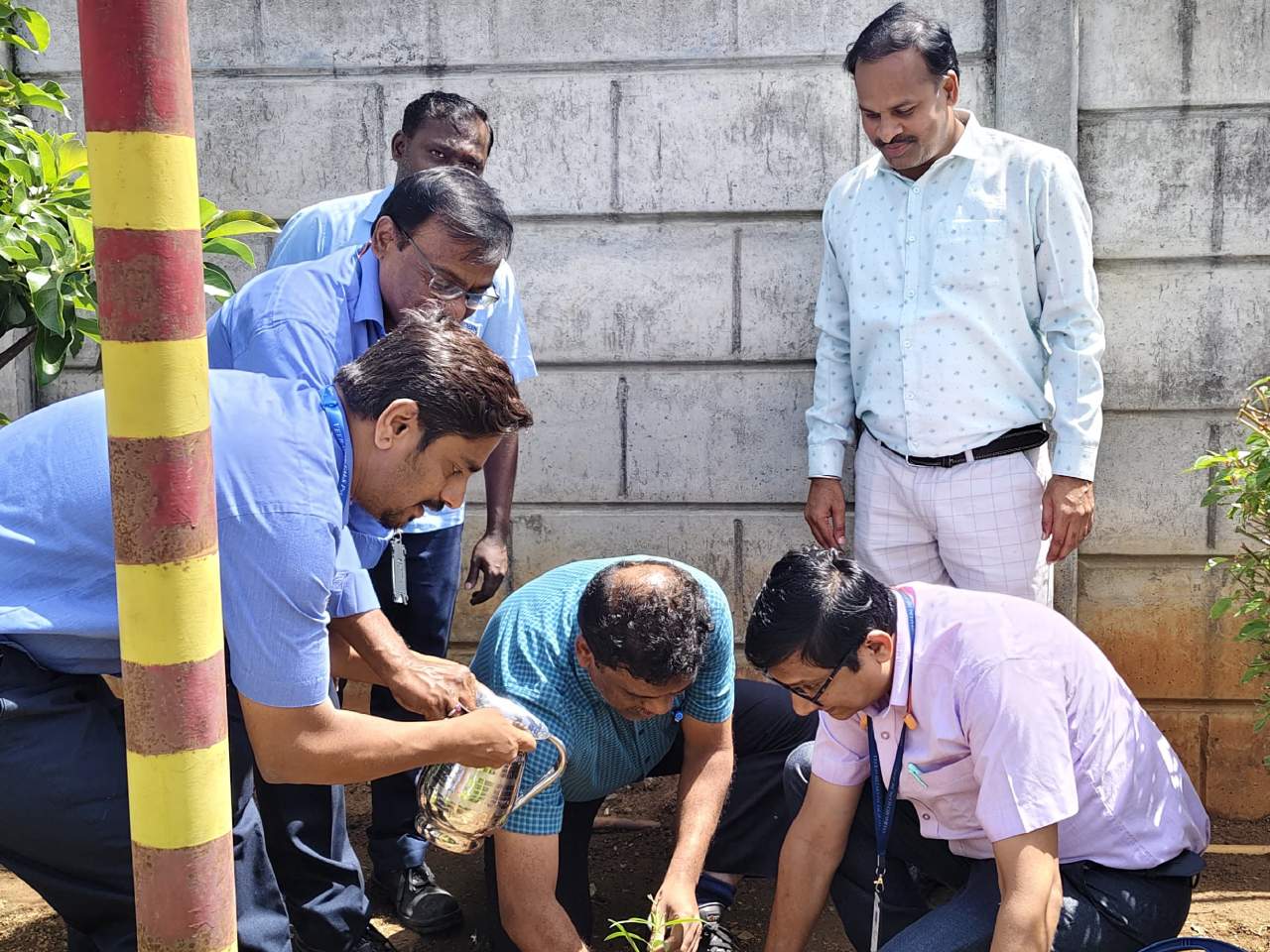 Veero Metals Celebrates World Environment Day
